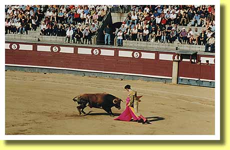 スペインの首都マドリッドにあるラス・ヴェンタス闘牛場で牛に向かうマタドール