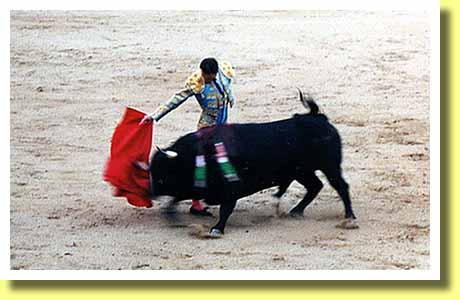 スペインの首都マドリッドのラス・ヴェンタス闘牛場で牛をあしらう闘牛士 マタドール