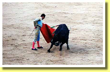 スペインの首都マドリッドのラス・ヴェンタス闘牛場で牛に向かう闘牛士 マタドールの右手に剣