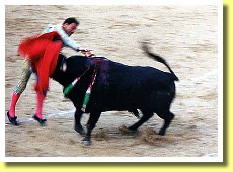 スペインの首都マドリッドのラス・ヴェンタス闘牛場で牛にとどめをさす闘牛士 マタドール