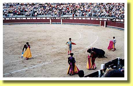 スペインの首都マドリッドのラス・ヴェンタス闘牛場で倒した牛を見つめる闘牛士 マタドール